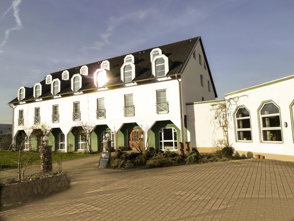 Hotel Zur Werra Schmalkalden Luaran gambar